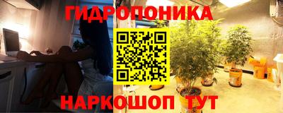 PSILOCYBIN Бузулук