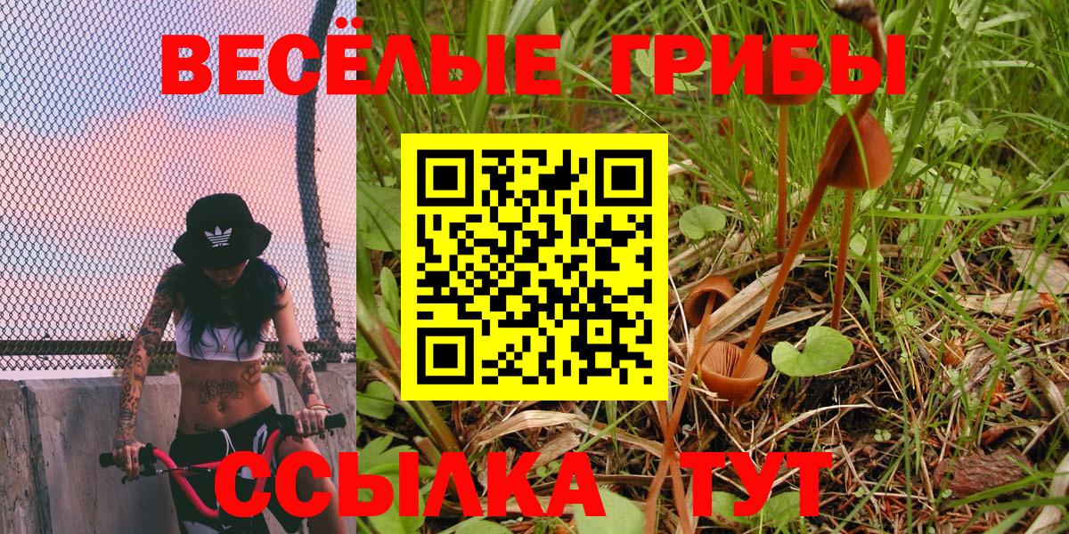 Североуральск  Псилоцибиновые грибы Magic Shrooms  Вход с VPN  Галлюциногенные грибы Magic Shrooms 