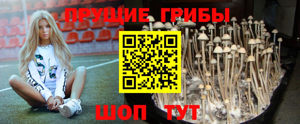 Псилоцибиновые грибы мухоморы Североуральск